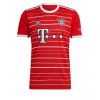 Herren Fußballtrikots Bayern Munich Heimtrikot 2022-23 Kurzarm Lucas HERNÁNDEZ 21 - Image 2